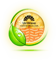 Uriwave
