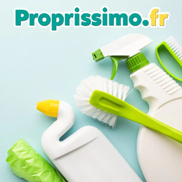 Des produits professionnels pour l’entretien des sanitaires