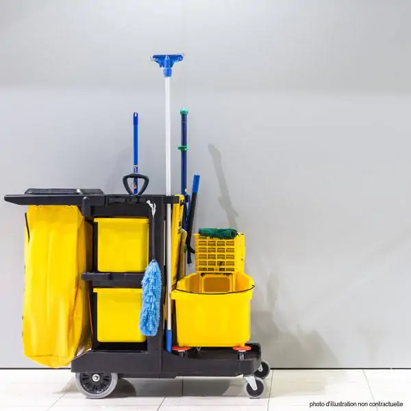 Quels sont les différents types de chariots de ramassage des déchets ?